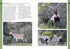 Mammals of Iberia - Bocos Gonzales 2025